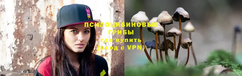 Псилоцибиновые грибы Psilocybe  Боровск 